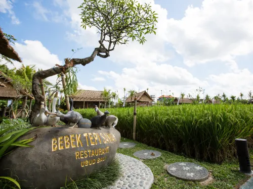 Bebek Tepi Sawah